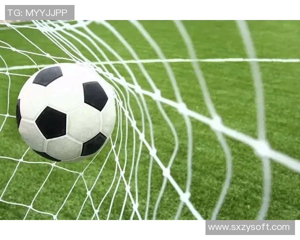 全球足球传奇人物动漫风格形象展示，感受球场英豪的魅力与力量