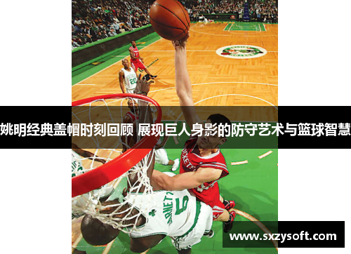 姚明经典盖帽时刻回顾 展现巨人身影的防守艺术与篮球智慧