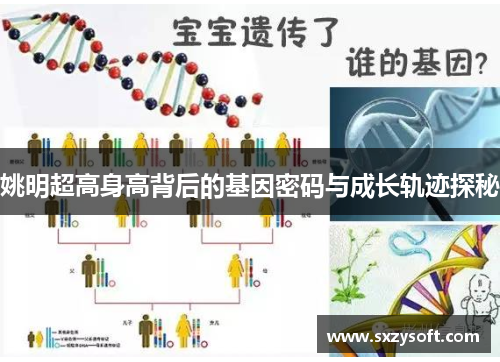 姚明超高身高背后的基因密码与成长轨迹探秘