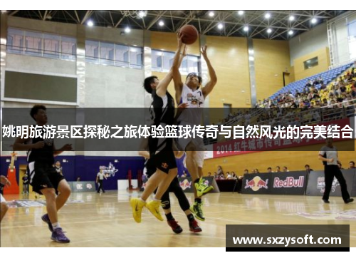 姚明旅游景区探秘之旅体验篮球传奇与自然风光的完美结合